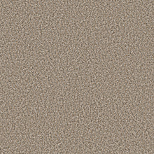 QS850-00132-swatch-shaw-floors
