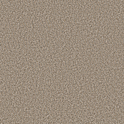 QS850-00132-swatch-shaw-floors