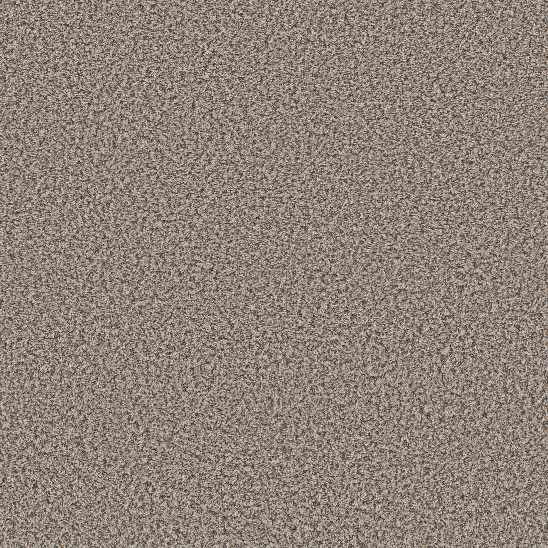 QS850-00500-swatch-shaw-floors