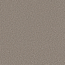 QS850-00500-swatch-shaw-floors
