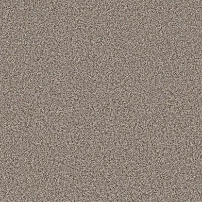 QS850-00500-swatch-shaw-floors