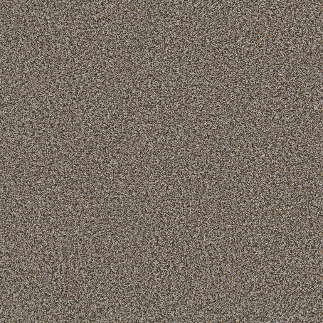 QS850-00501-swatch-shaw-floors
