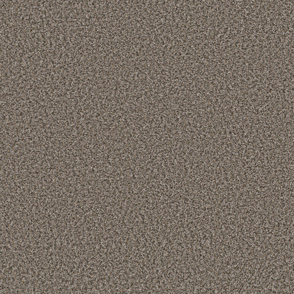 QS850-00501-swatch-shaw-floors
