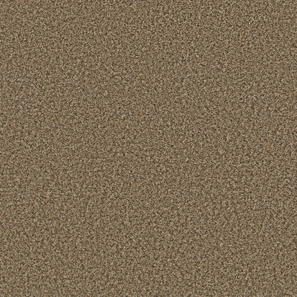 QS850-00711-swatch-shaw-floors