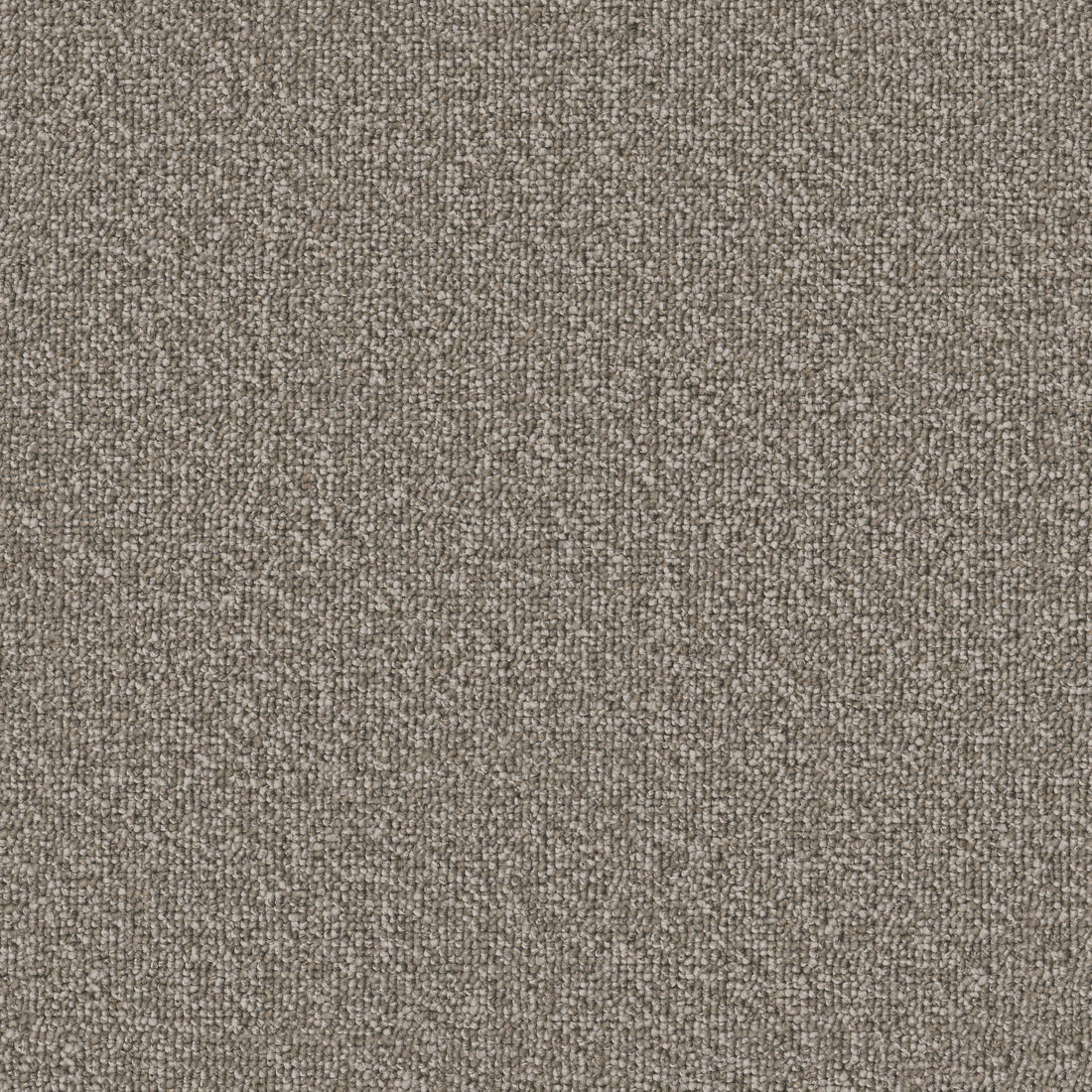 54989-00100-swatch-shaw-floors