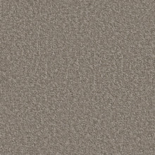 54989-00100-swatch-shaw-floors