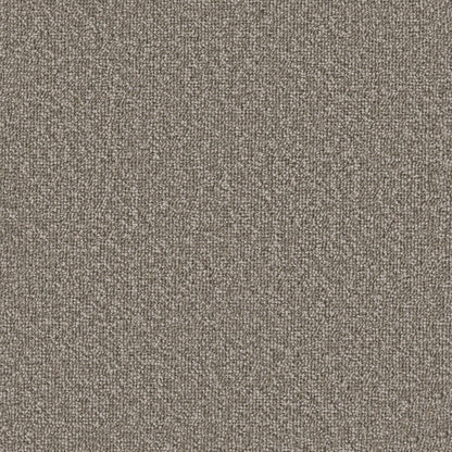 54989-00100-swatch-shaw-floors