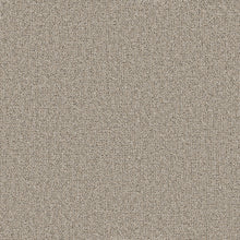 54989-00202-swatch-shaw-floors