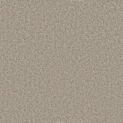 54989-00202-swatch-shaw-floors