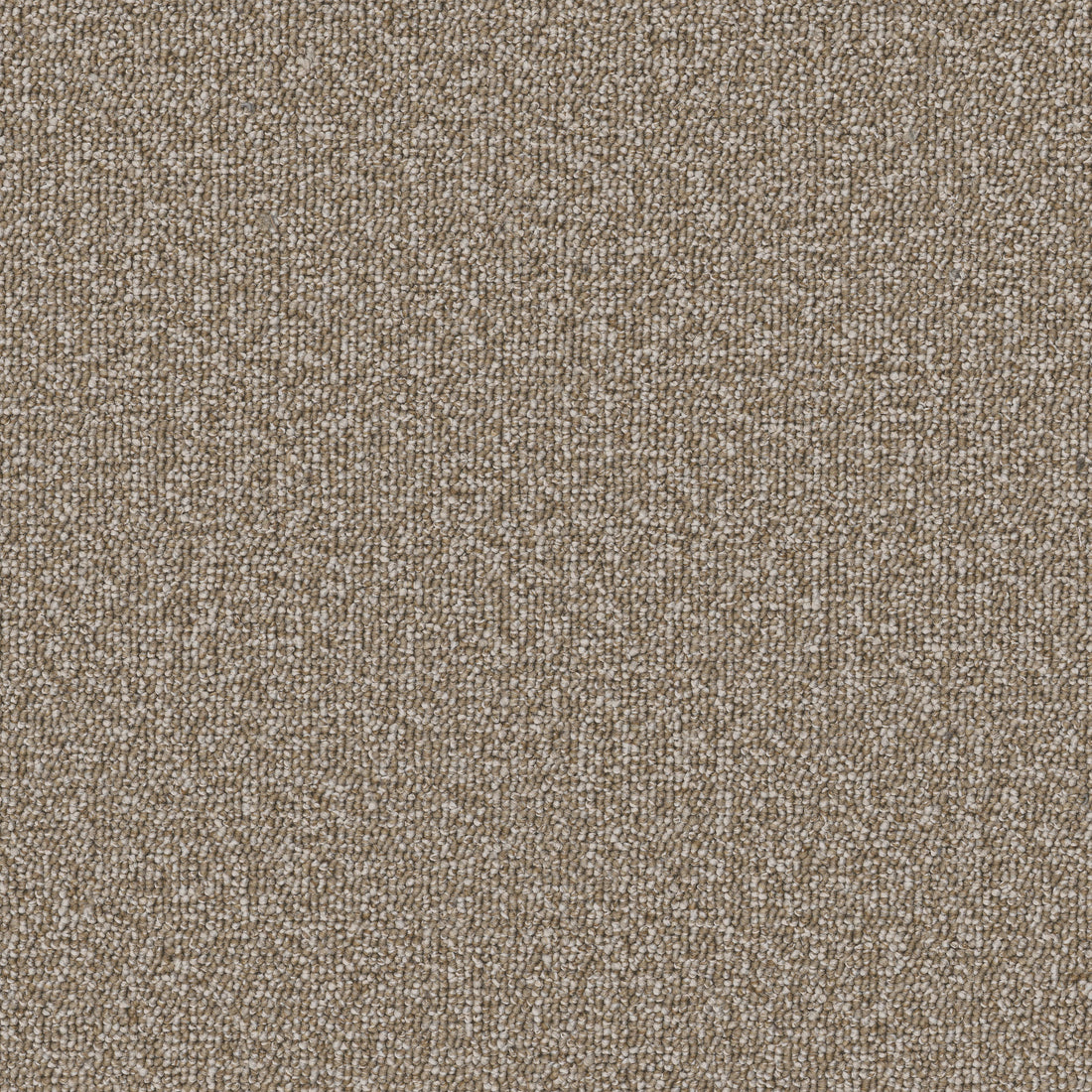 54989-00204-swatch-shaw-floors