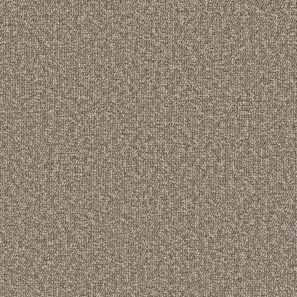 54989-00204-swatch-shaw-floors