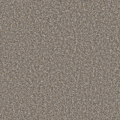 54989-00210-swatch-shaw-floors