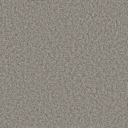 54989-00503-swatch-shaw-floors