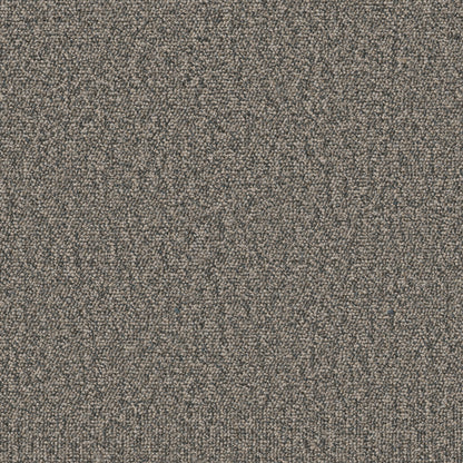 54989-00504-swatch-shaw-floors