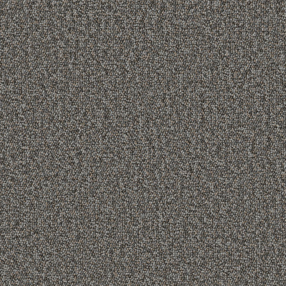 54989-00506-swatch-shaw-floors