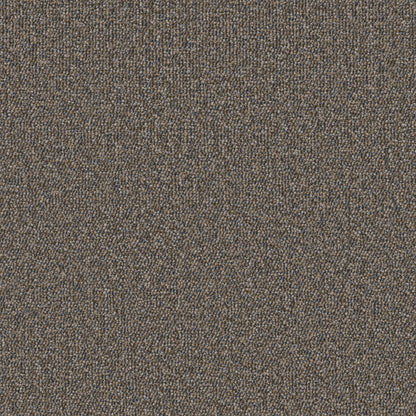 54989-00700-swatch-shaw-floors