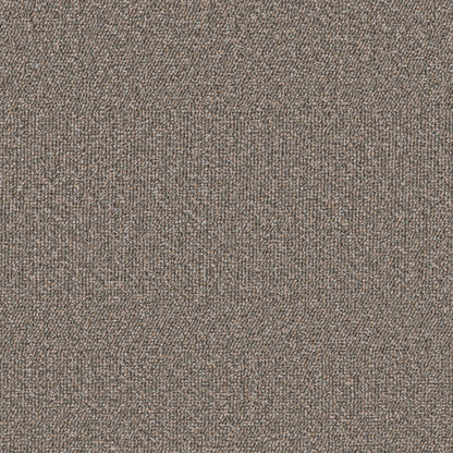 54989-00702-swatch-shaw-floors