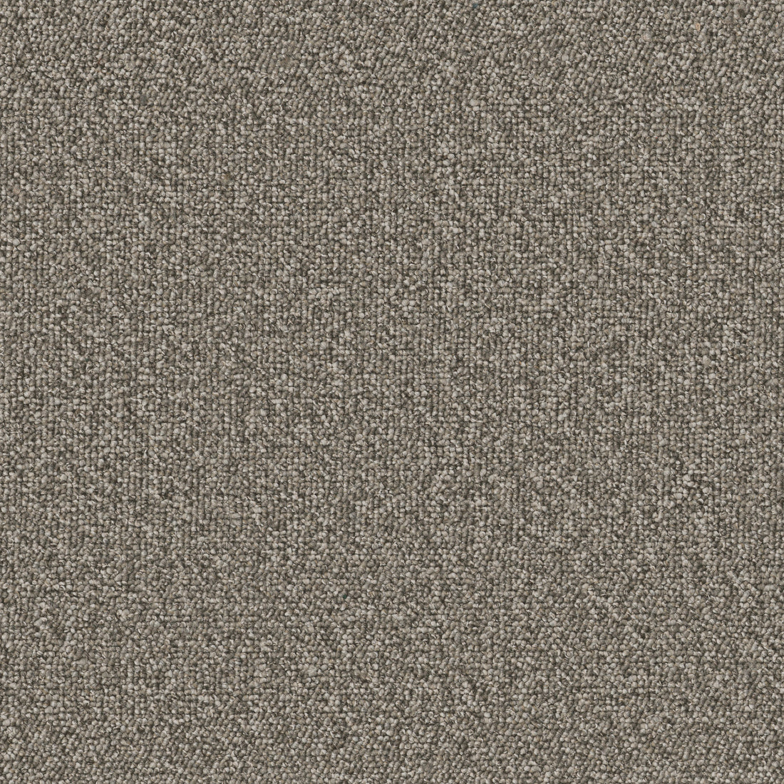 54989-00704-swatch-shaw-floors