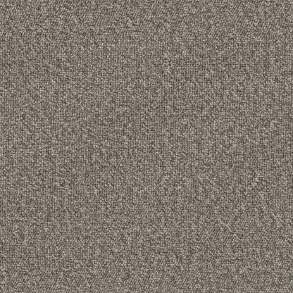 54989-00704-swatch-shaw-floors