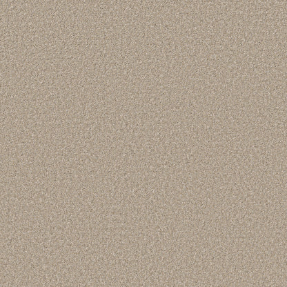 5E846-00110-swatch-shaw-floors