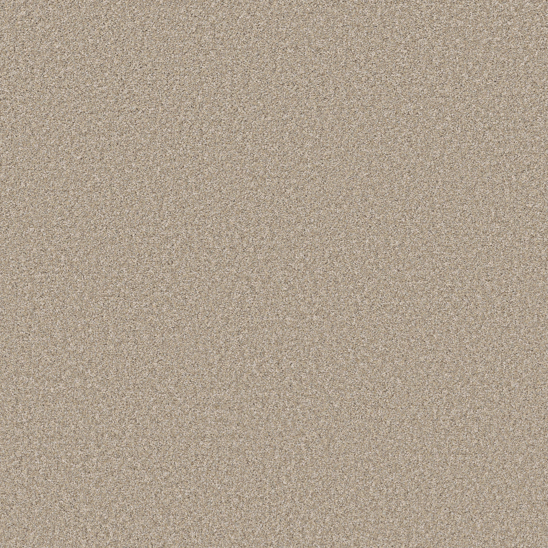 5E863-00110-swatch-shaw-floors