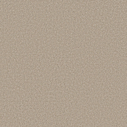 5E863-00110-swatch-shaw-floors
