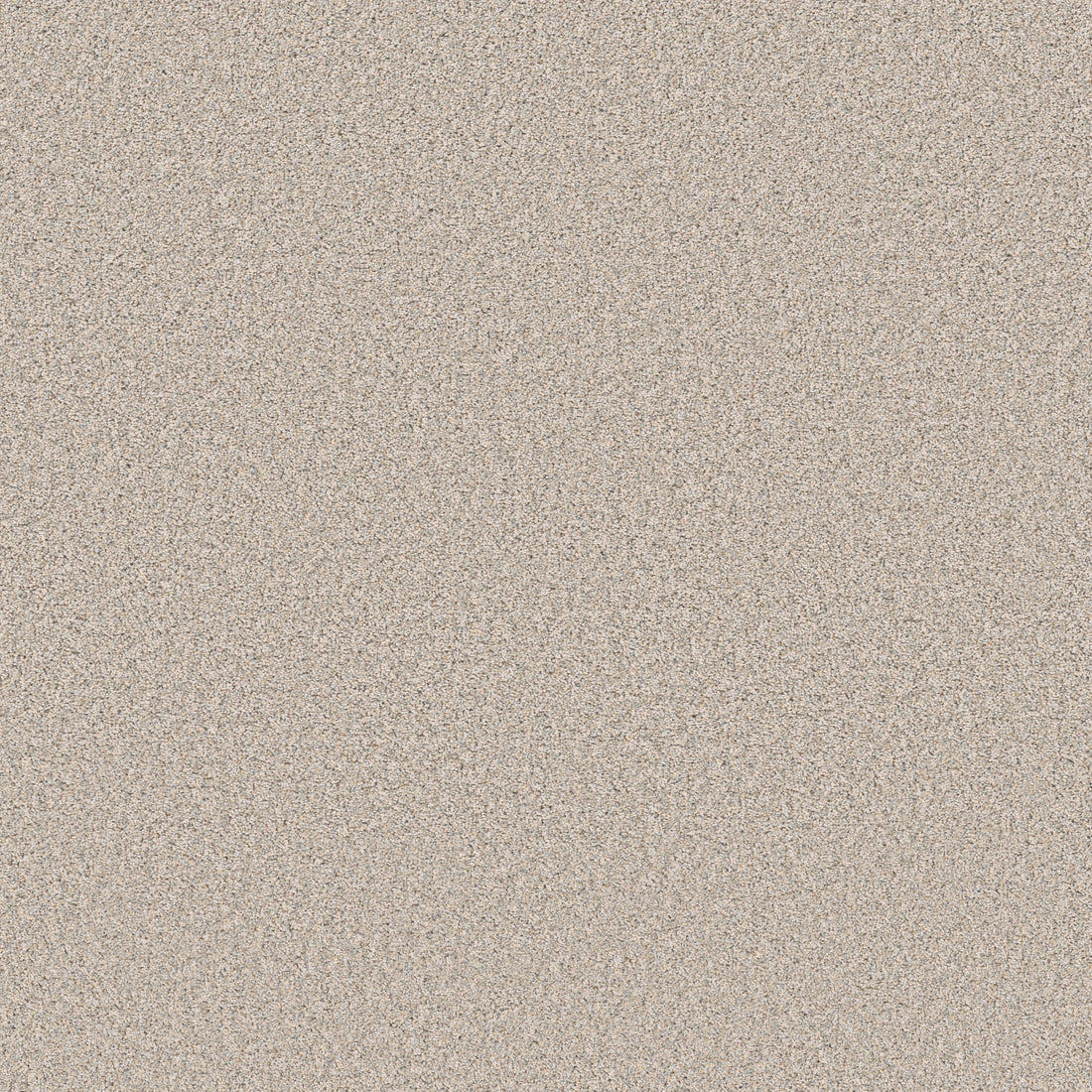 5E863-00111-swatch-shaw-floors