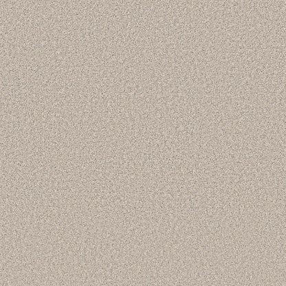 5E863-00111-swatch-shaw-floors