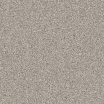 5E863-00510-swatch-shaw-floors