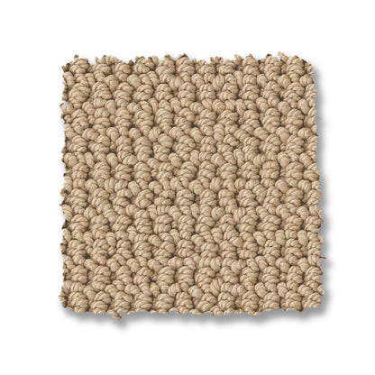 ZZ286-00225-swatch-shaw-floors