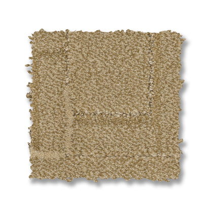 ZZ293-00225-swatch-shaw-floors