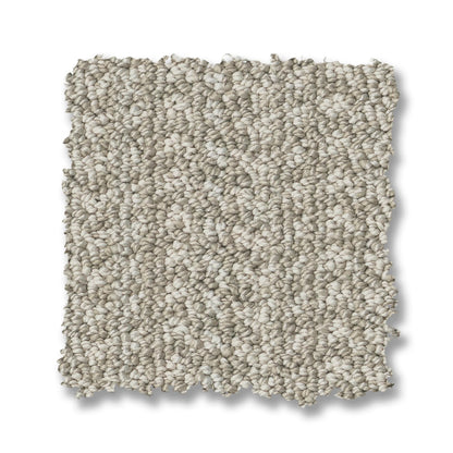 ZZ305-00101-swatch-shaw-floors