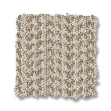 ZZ305-00102-swatch-shaw-floors