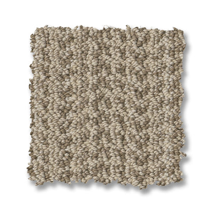 ZZ305-00107-swatch-shaw-floors