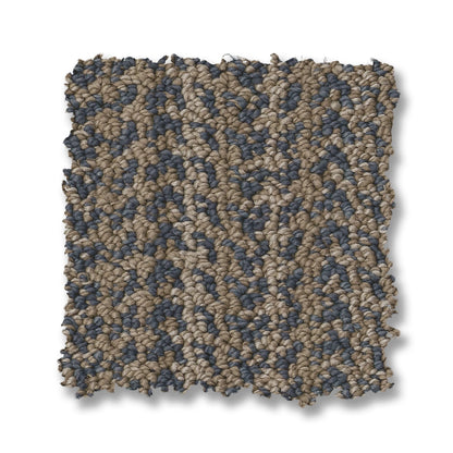 ZZ305-00405-swatch-shaw-floors