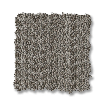 ZZ305-00505-swatch-shaw-floors