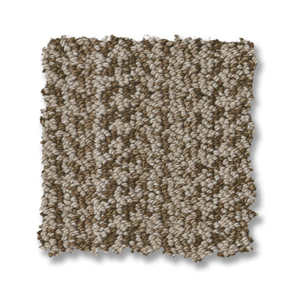 ZZ305-00702-swatch-shaw-floors