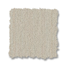 ZZ306-00103-swatch-shaw-floors