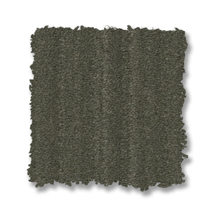 ZZ306-00301-swatch-shaw-floors