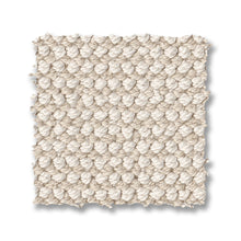 ZZ316-00112-swatch-shaw-floors