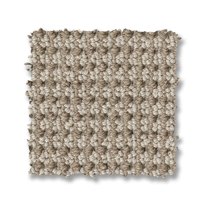 ZZ317-00171-swatch-shaw-floors