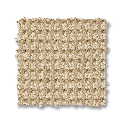 ZZ317-00222-swatch-shaw-floors