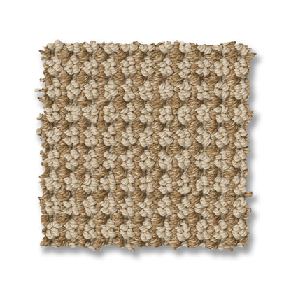 ZZ317-00223-swatch-shaw-floors