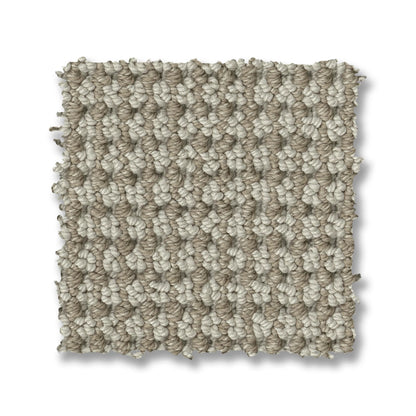 ZZ317-00571-swatch-shaw-floors