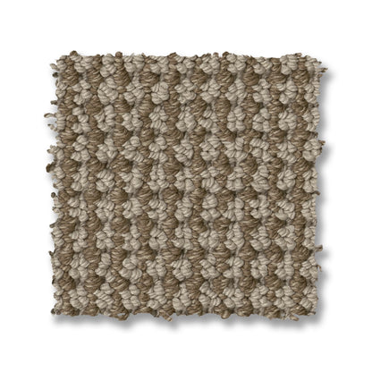 ZZ317-00753-swatch-shaw-floors