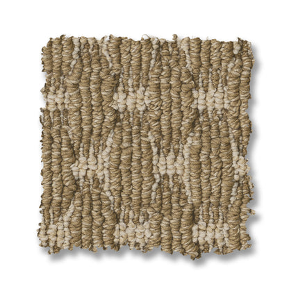 ZZ318-00233-swatch-shaw-floors