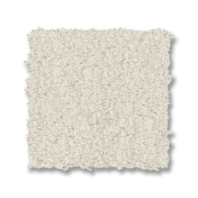 ZZ321-00121-swatch-shaw-floors