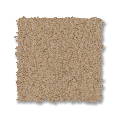ZZ321-00221-swatch-shaw-floors