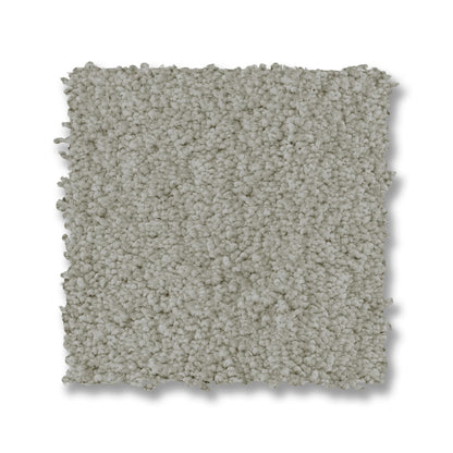 ZZ321-00341-swatch-shaw-floors
