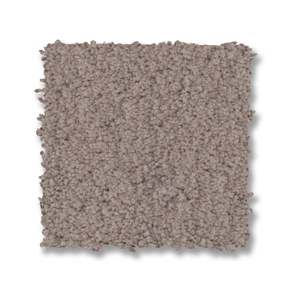 ZZ321-00523-swatch-shaw-floors